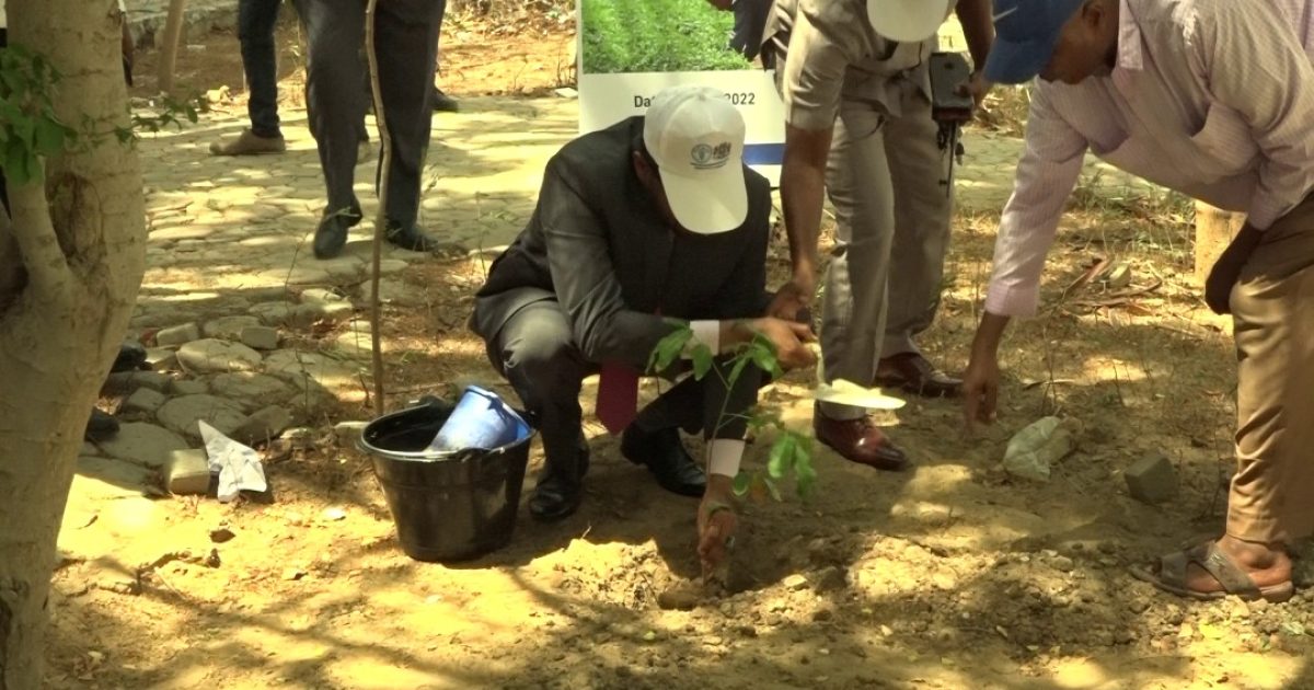 Xuska Maalinta dhir beerista Qaranka oo lagu qabtay Muqdisho “SAWIRRO”