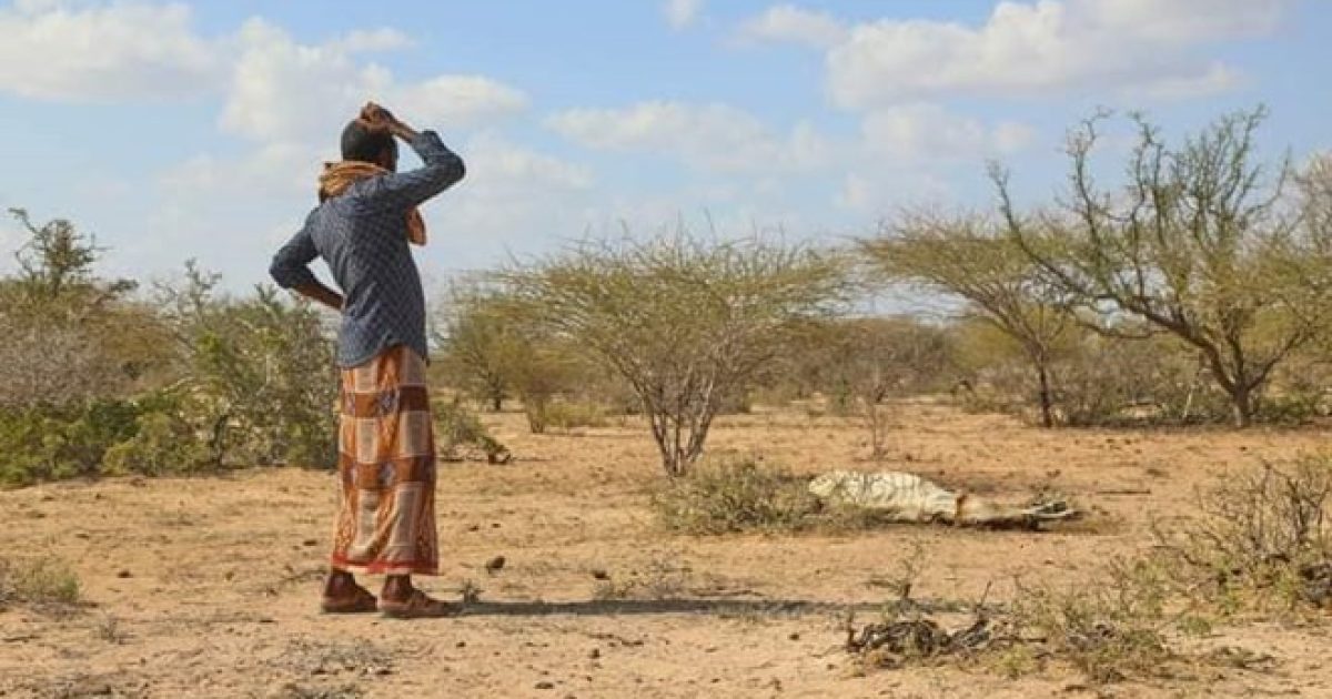 Abaar ba’an oo ka jirta degaanno kamid ah koonfurta Soomaaliya