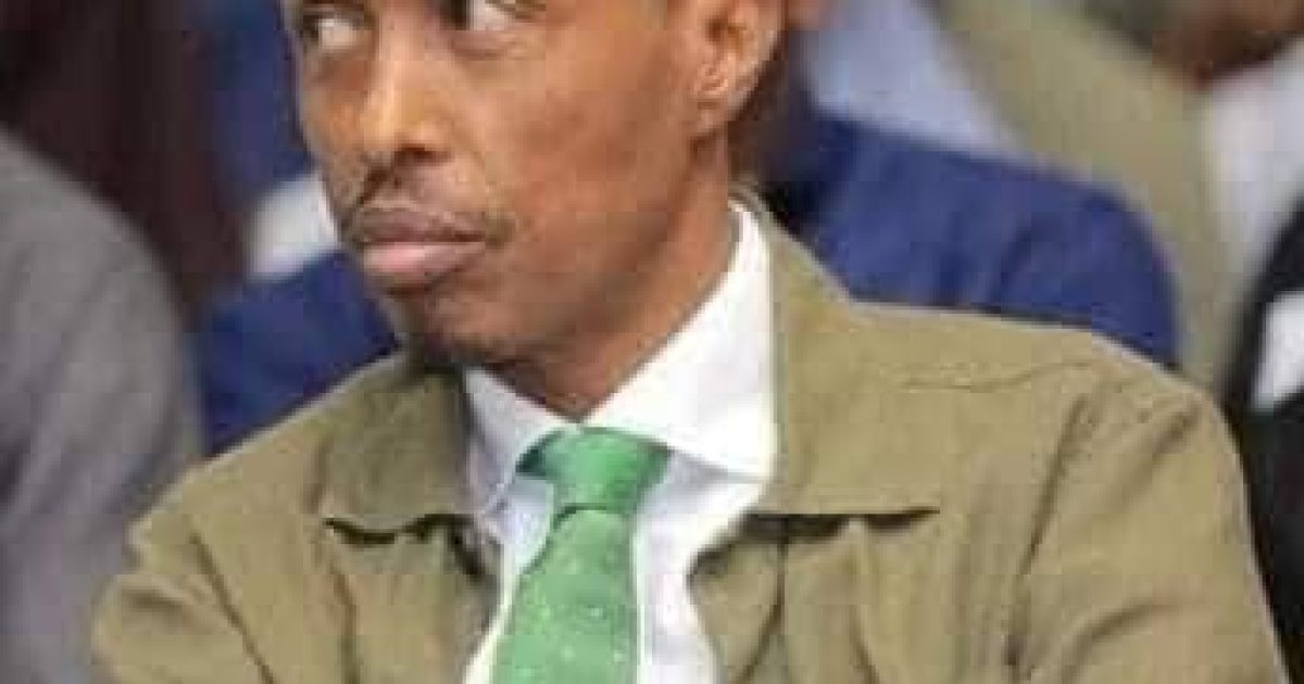 Madaxweynaha JFS oo Xuseen Macallin Maxamuud u magacaabay la taliyaha amniga Qaranka