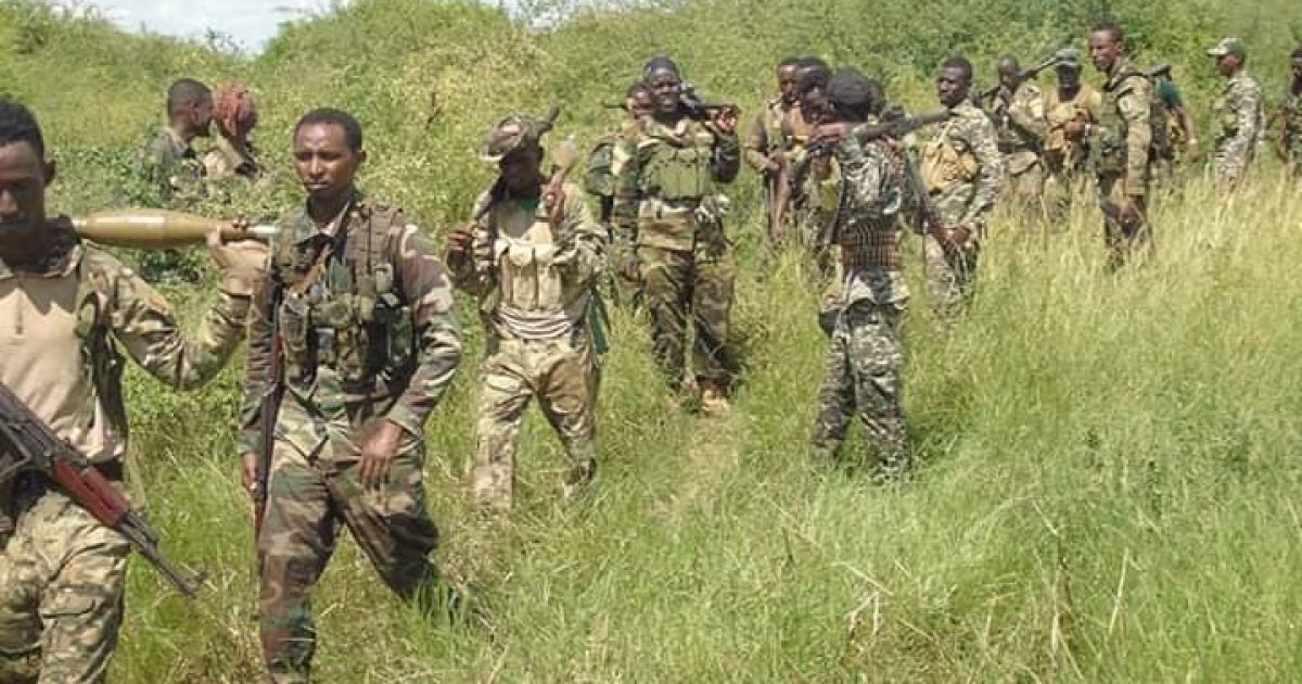 Ciidamada xoogga dalka oo howlgal ku soo qabtay xubno ka tirsan Al-Shabaab