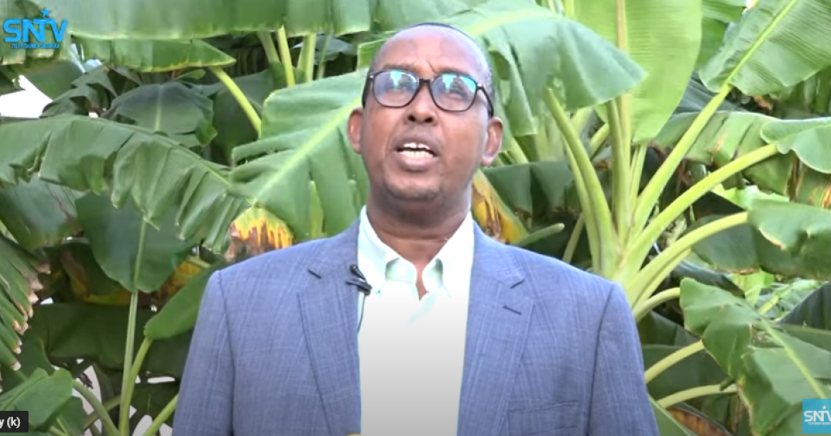 Diiwaan gelinta murashixiinta madaxweynaha oo maanta lasoo gaba-gabeynayo