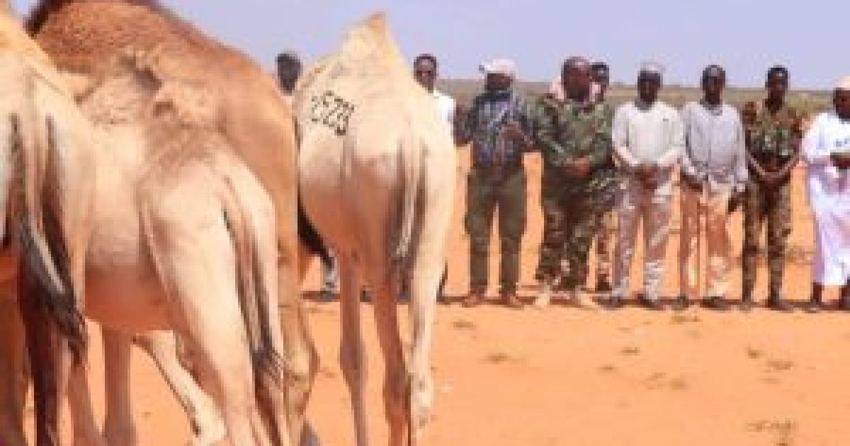 Deeqo kala duwan oo la gaarsiiyay Degmada Baxdo