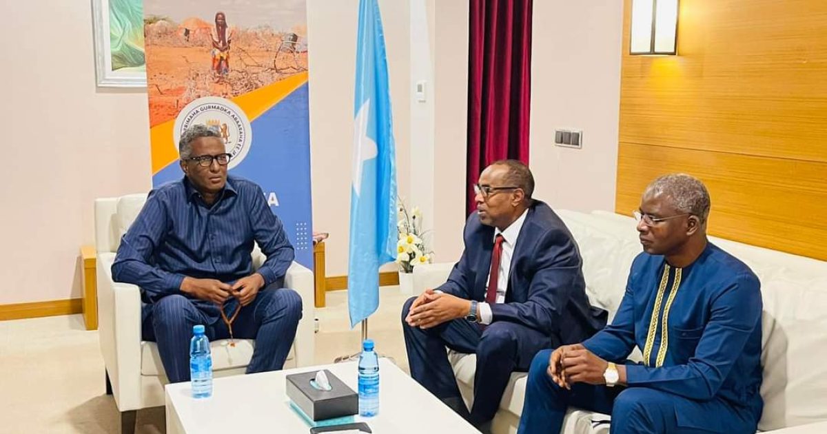 Ergayga Gaarka ah ee Madaxweynaha oo kulan la qaatay ergayga UNHCR ee Geerka Africa 