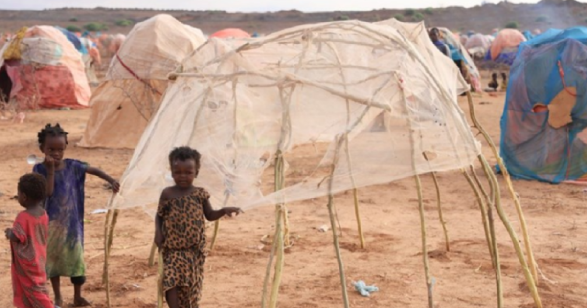 Qaramada Midoobay oo war ka soo saaray Abaaraka ka jira Soomaaliya