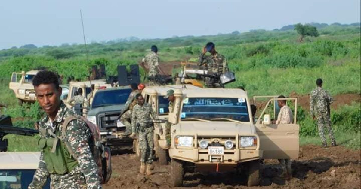 Ciidamada Xoogga Dalka oo howlgal ku qabtay Xubno katrisan Al-shabaab