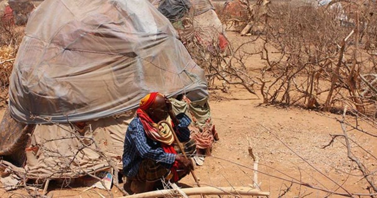 IGAD oo ku dhawaaqday in 50 Milyan oo qof ay saameysay Abaarta ka jirta Geeska Afrika