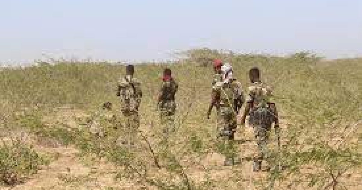 Ciidanka Xoogga dalka oo Gacanta ku soo dhigay xubno ka tirsan maleeshiyaadka Al-Shabaab