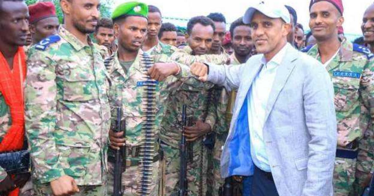 Weerarkii argagixisada ee dowlad deegaanka Soomaalida oo la soo afjaray