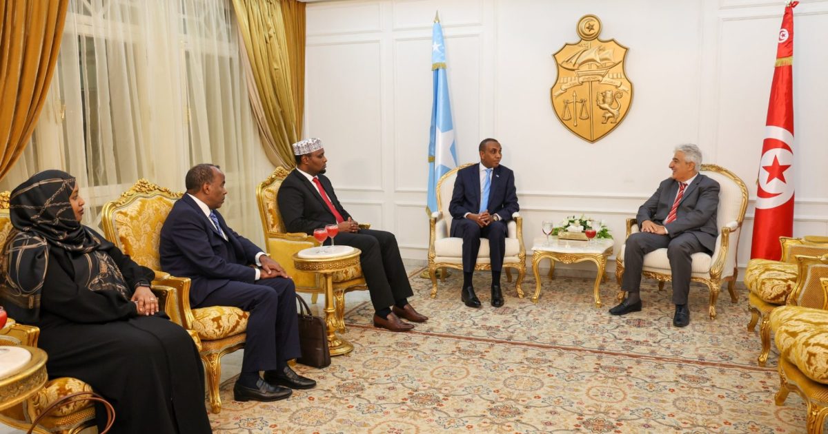 Ra’iisal wasaare Xamsa oo magaalada Tunis kaga qeyb galaya shirka caalamiga ee TICAD