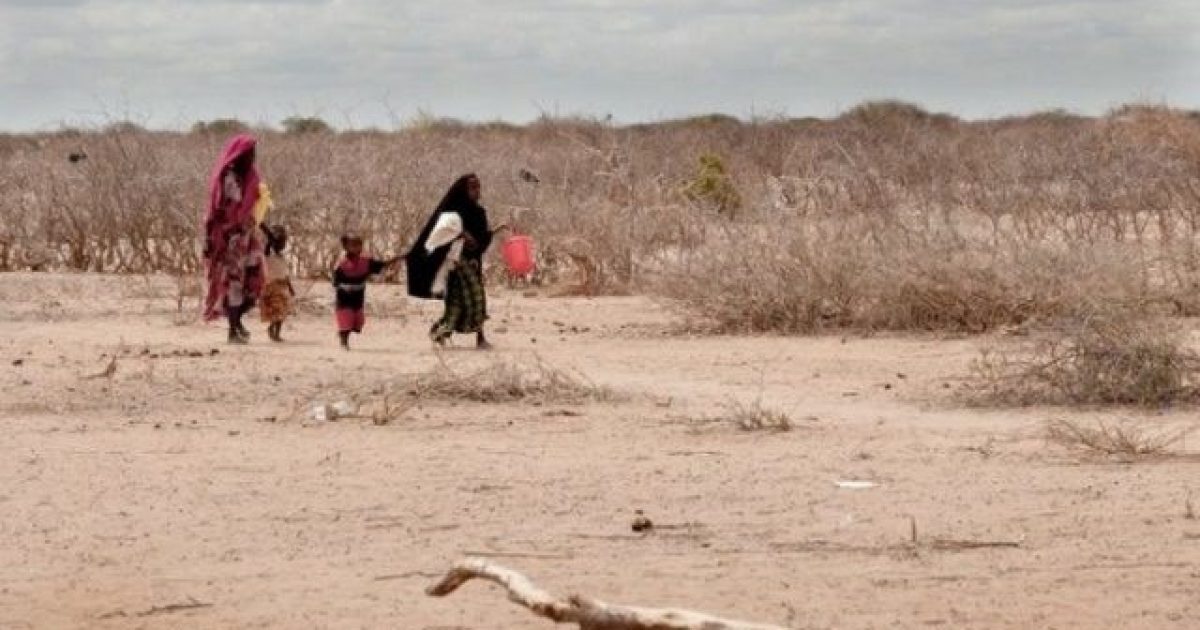 WMO oo sheegtay in qaar ka mid ah dalalka geeska Afrika ay qarka u saaranyahiin xaalad bini’aadanimo