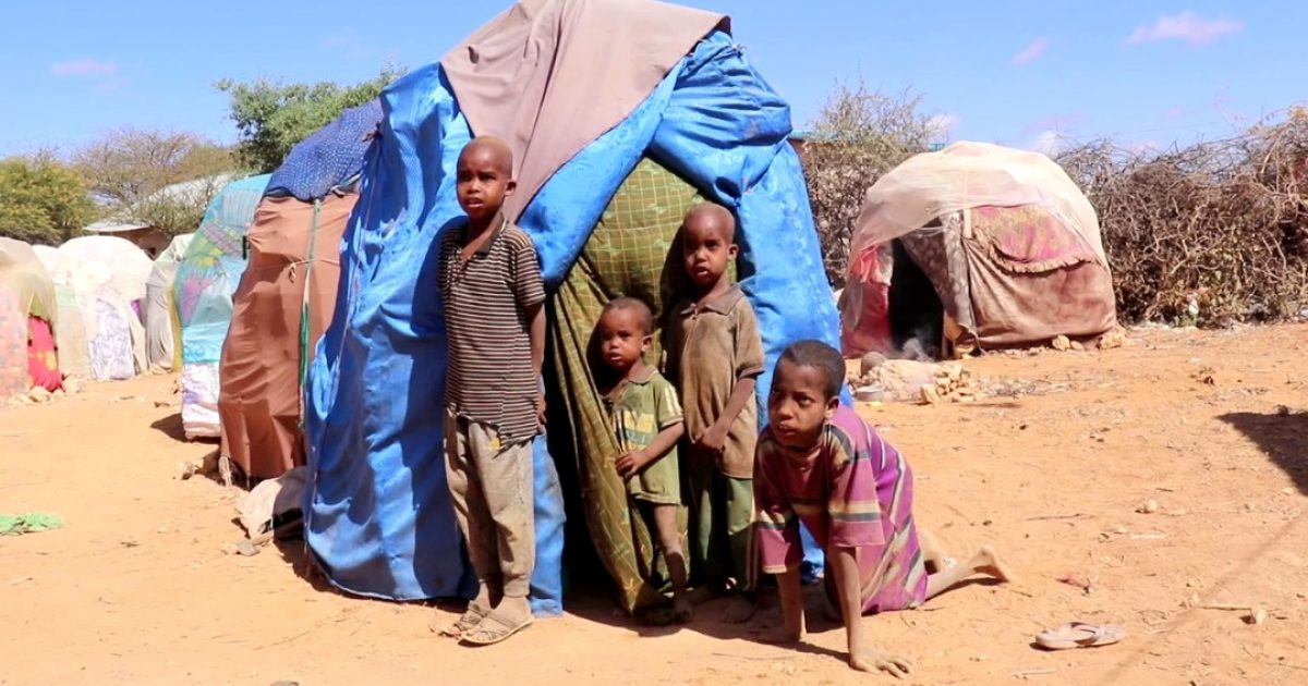 Waa sidee xaaladda dadka ku nool kaaamamka magaalada Xuddur