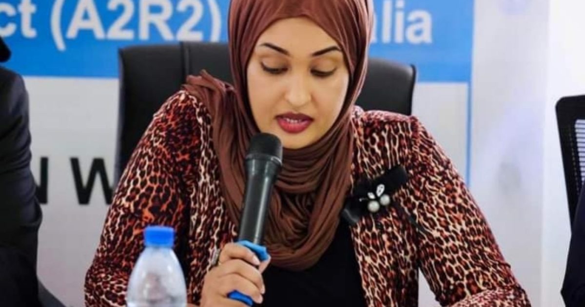 Wasiirka Deegaanka Oo Ka Qaybgashay Kulan Ku Saabsan Isbadalka Cilimada