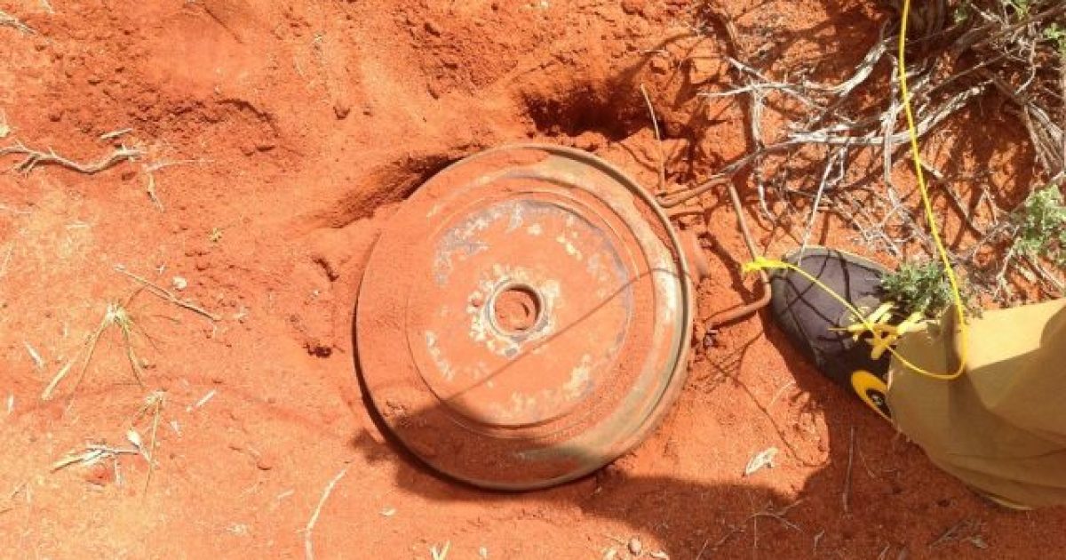 Carruur walaalo ah oo ay miino kula qaraxday gobolka Togdheer