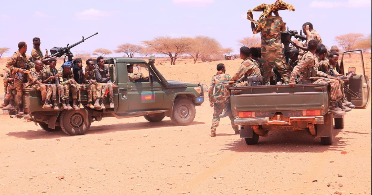 Ciidanka xoogga dalka oo dilay 30-ka tirsan Maleeshiyada Al-Shabaab