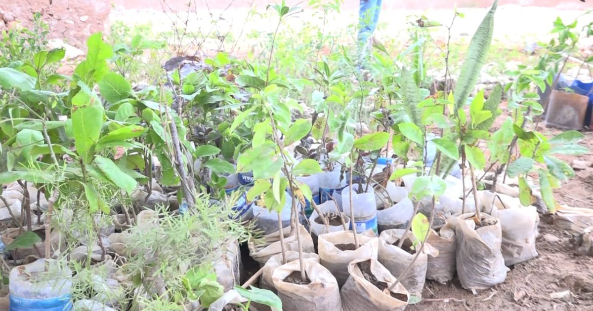 Qaar kamida deegaannada Galmudug oo laga bilaabay dhireeyn “SAWIRRO”