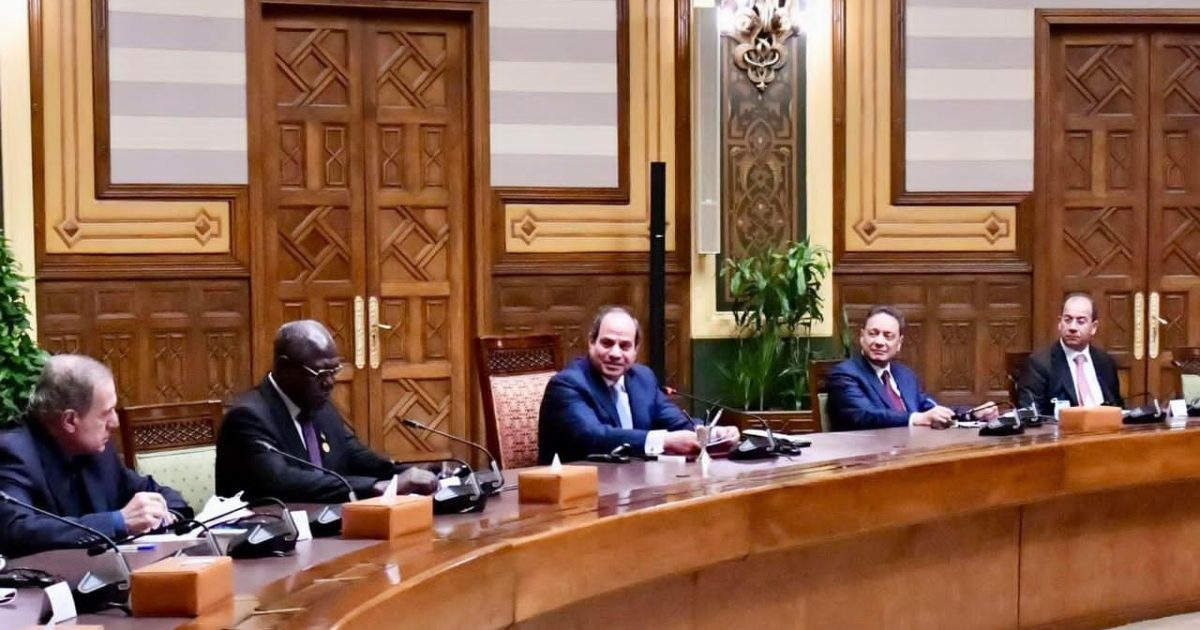 Wasiirka Warfaafinta Soomaaliya Oo La Kulmay Madaxweynaha Masar