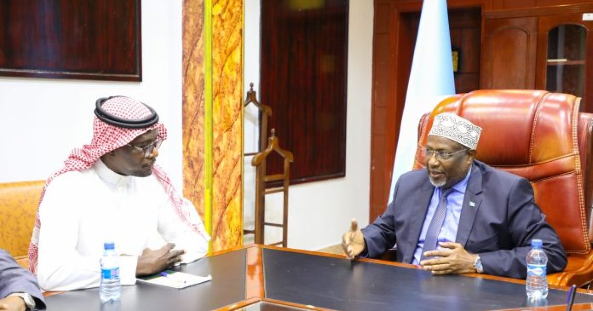 Maxay kawada hadleen ku simaha madaxweynaha JFS iyo danjiraha Sacuudiga ee Soomaaliya