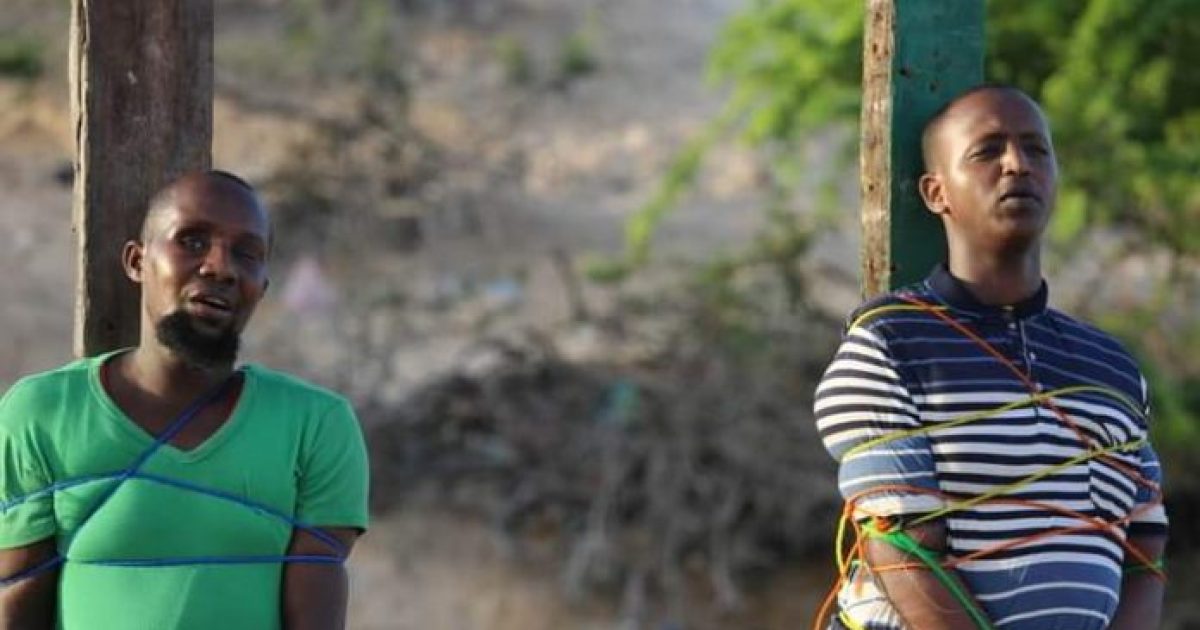 Dhagarqabayaal katirsanaa Daacish oo dil toogasho ah lagu fuliyay