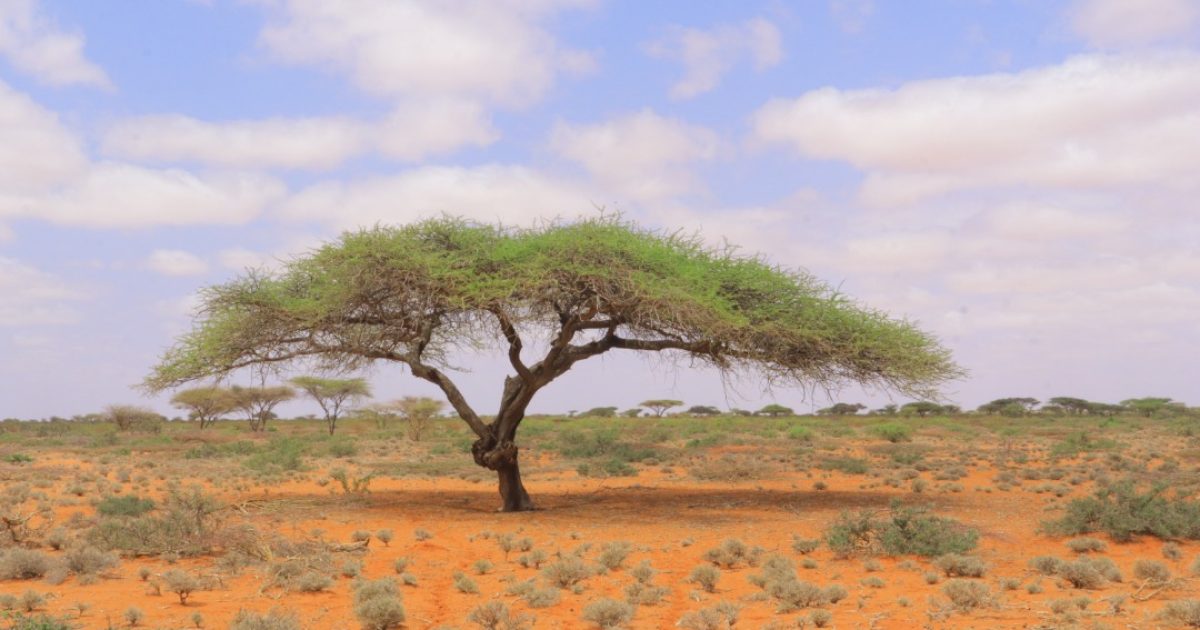 Maamulka degmada Cadaado oo mamnuucay in la dhiso dhul aan sharci laheen