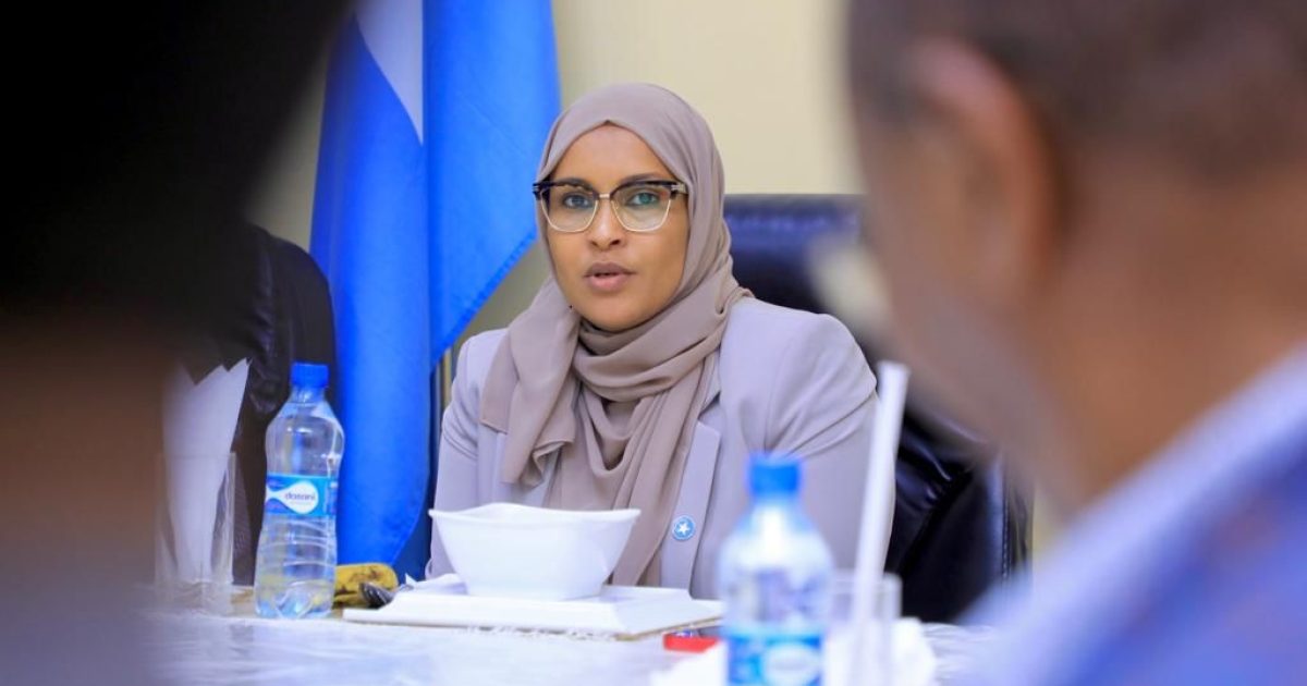 Wasiirka Duulista Hawada Oo La Kulantay Guddiga Shirkadaha Diyaaradaha Dalka