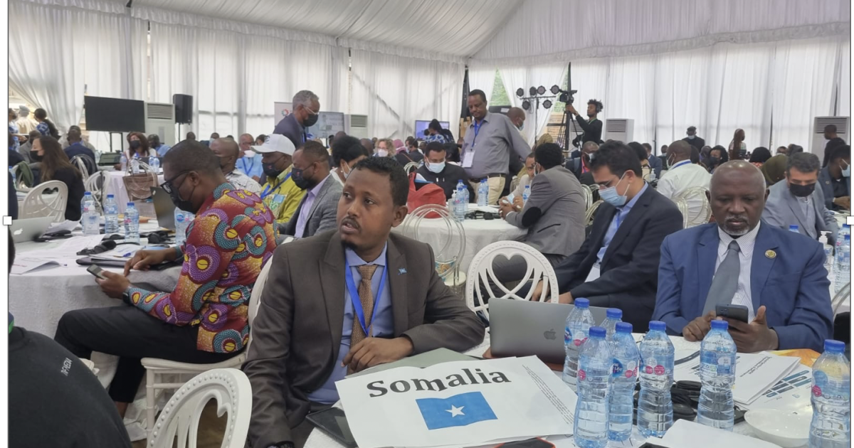 Mr Yussuf Mohamed Adan, Somalia's State Minister for Labour and Social Affairs, at the Conference.