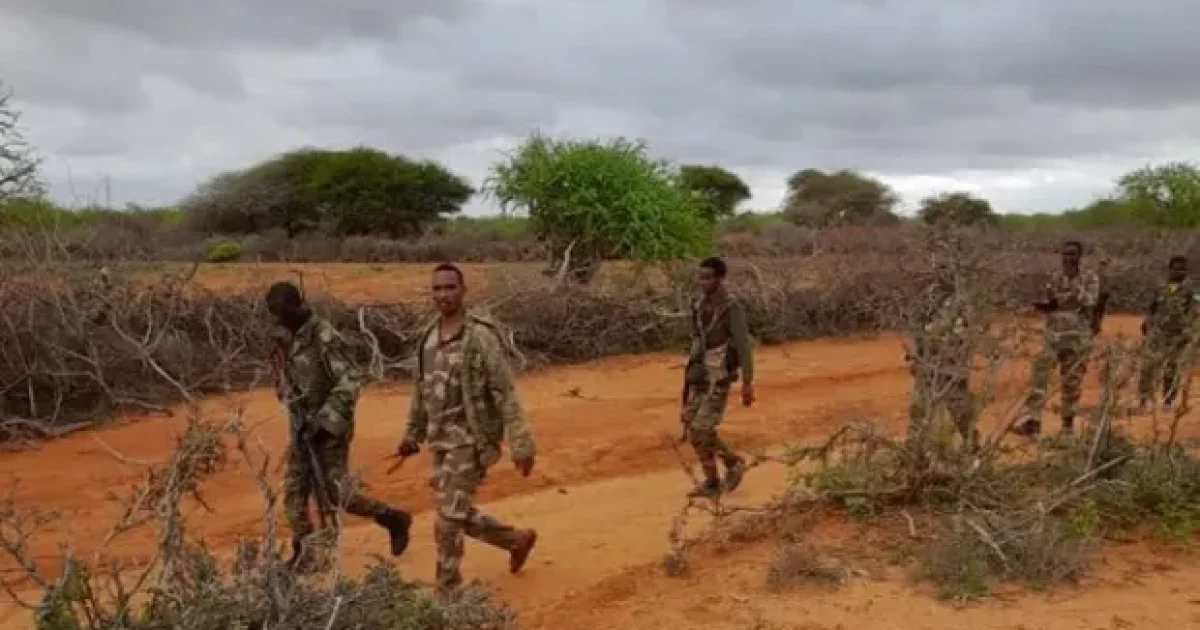 Ciidanka xoogga dalka oo dilay 50-katirsan Maleeshiyada Al-shabaab