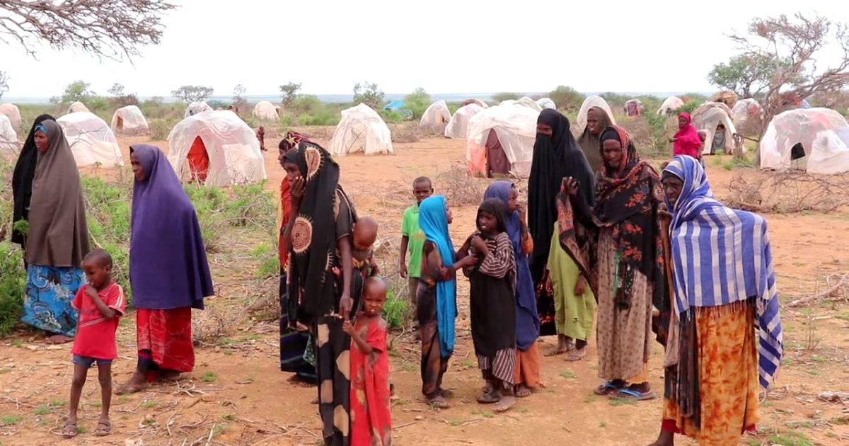 Barakacayaal ku nool Degmada Ceelberde oo codsaday in gargaar lala soo gaaro