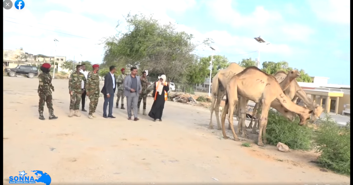 Bukaanada ku jira Isbitaalka Xoogga oo maanta la gaarsiiyay kaalmo xoolo ah
