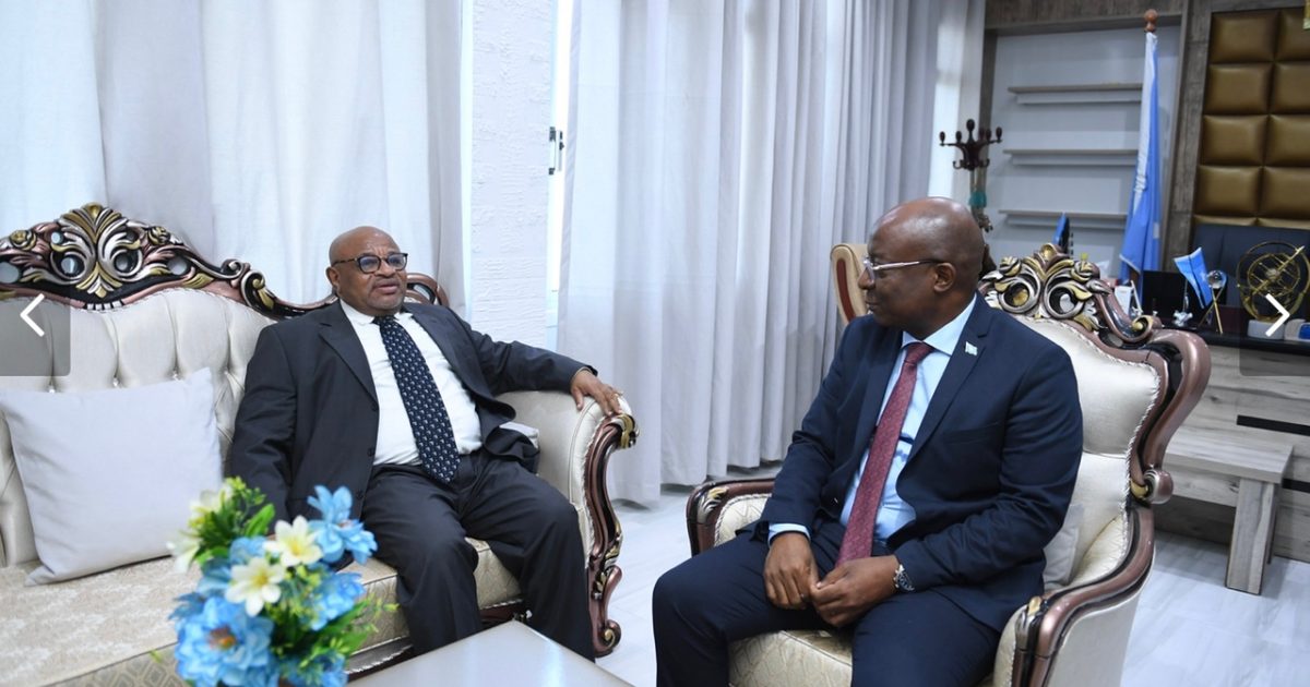 Wasiirka Warfaafinta oo qaabilay Wakiilka Midowga Afrika ee Soomaaliya