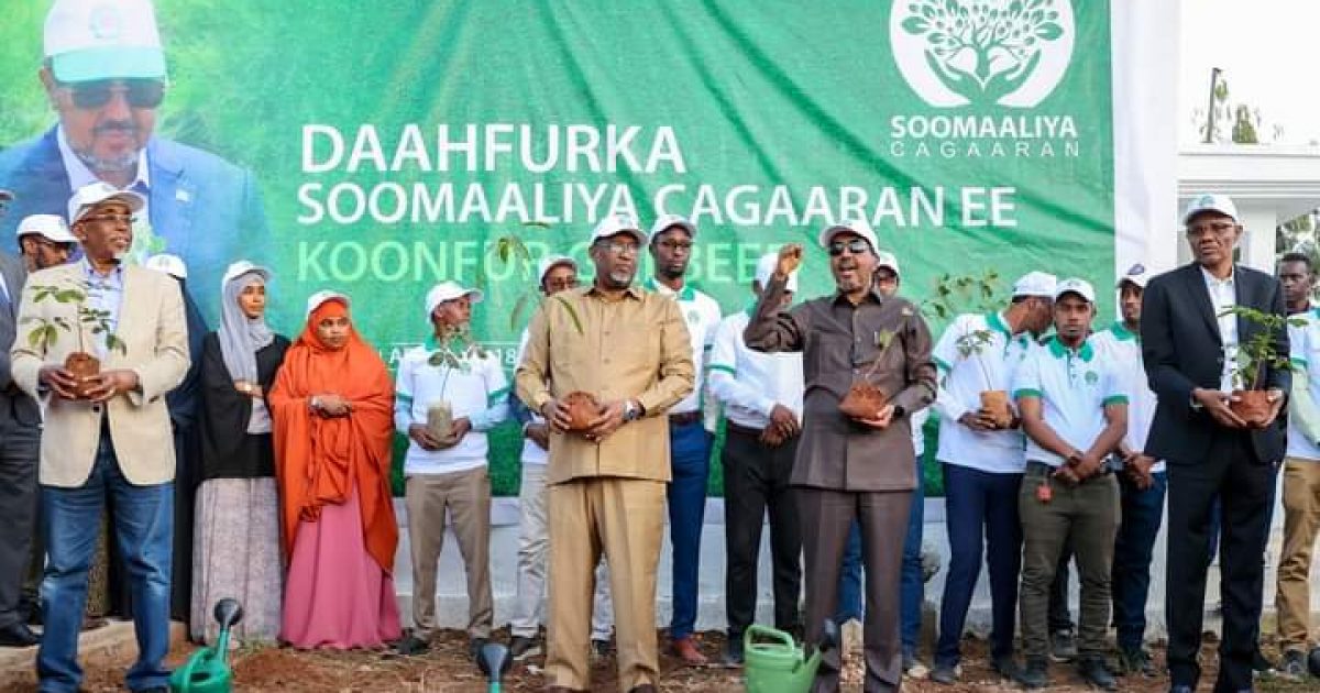 Madaxweyne Xasan Sheekh oo Baydhabo ka daahfuray Hindisaha Qaran ee Soomaaliya Cagaaran “SAWIRRO”