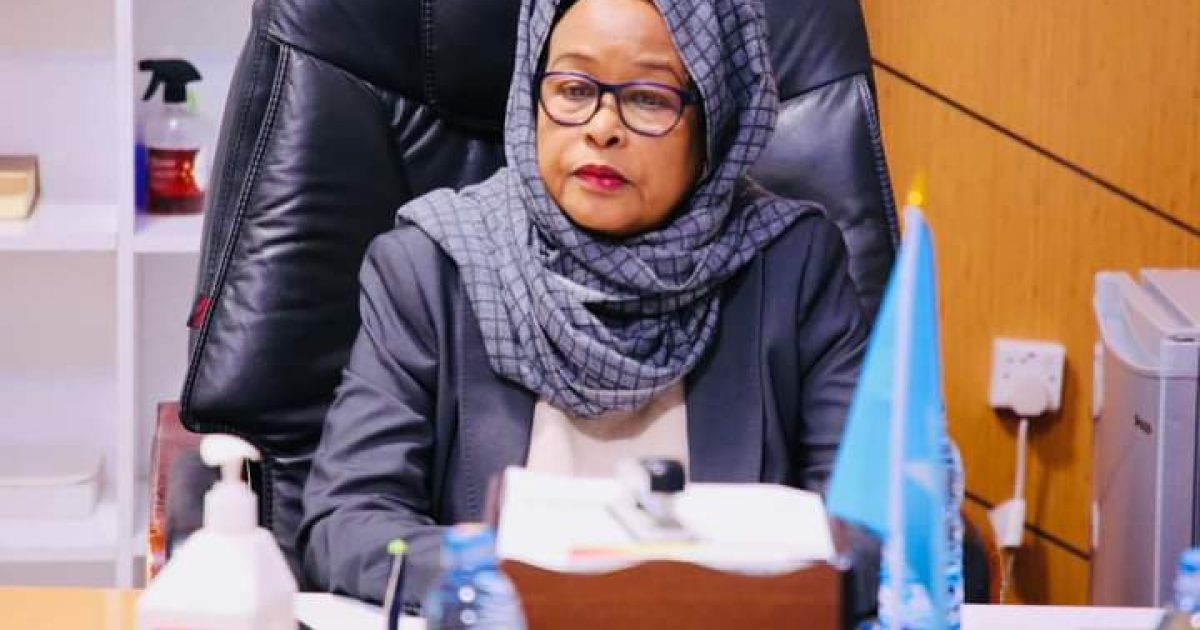 Wasiiru-Dowlaha W/Maaliyadda XFS oo kormeer ku tagtay Dekadda Muqdisho