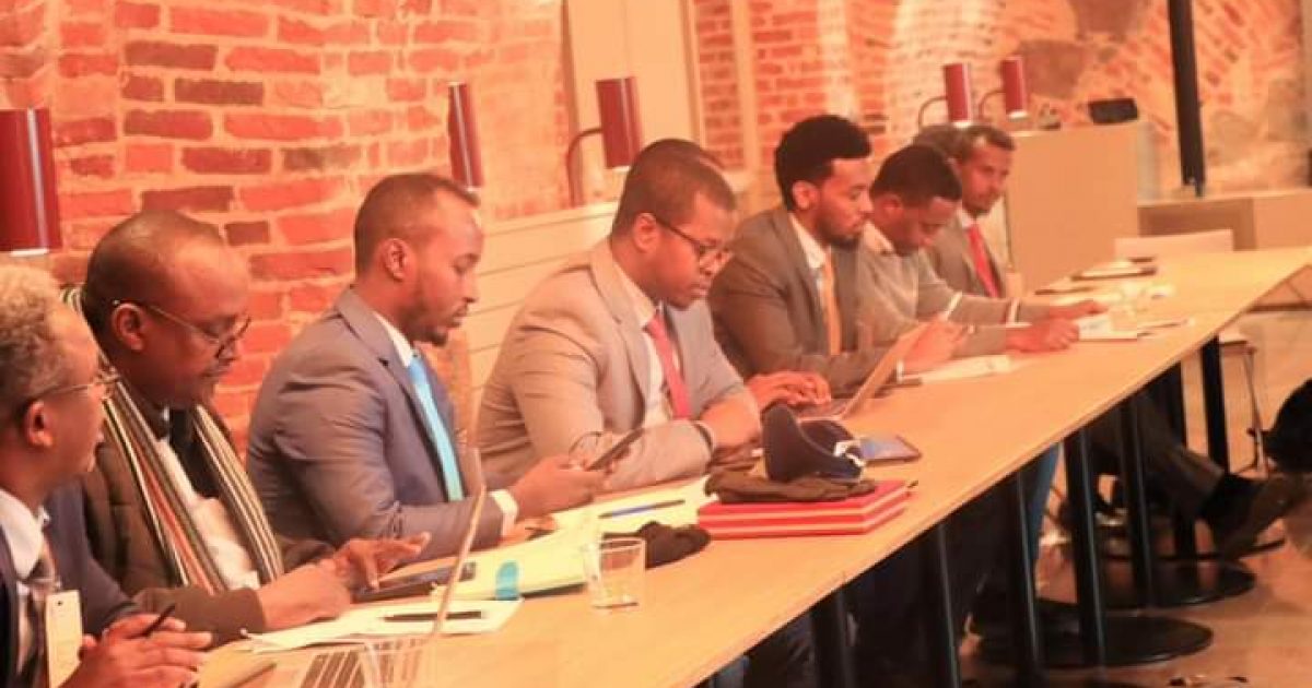 Mas’uuliyiin ka tirsan Dowladda oo shir uga qeybgalay dalka Finland