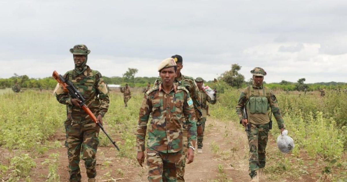 Somali National Army kills 13 Al-Shabaab terrorists in operation