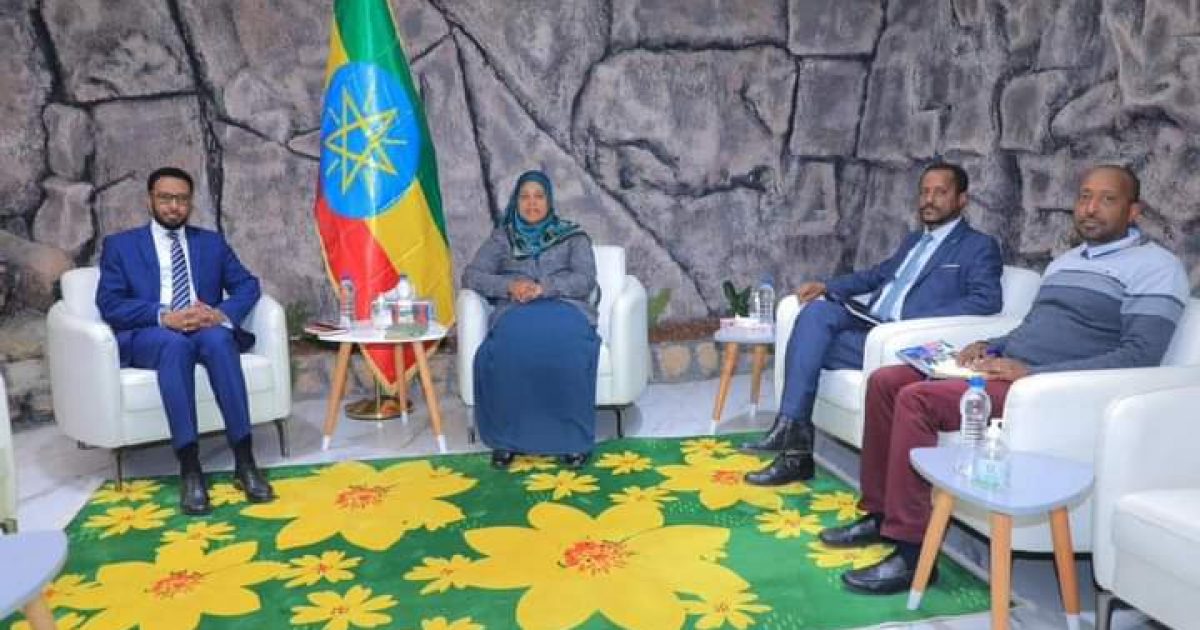 Somali Minister of Labor meets Ethiopian Minister of Labor and Skills