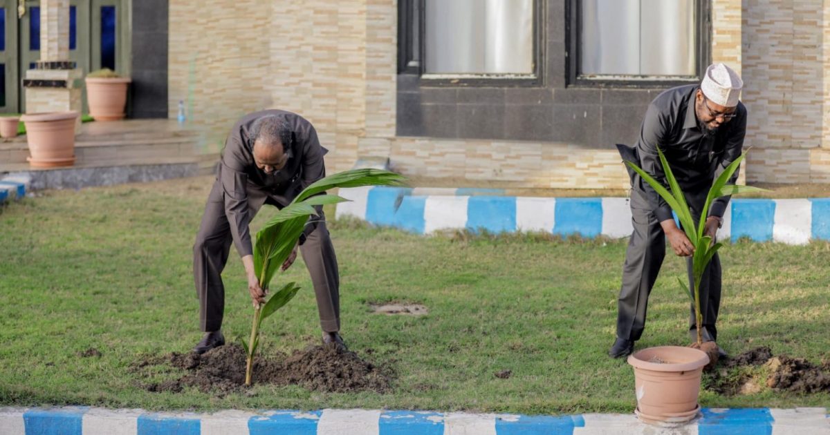 Qorshaha qaran ee Soomaaliya cagaaran oo dardar ku socda