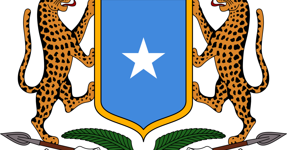 Somalia Launches Interconnection Service