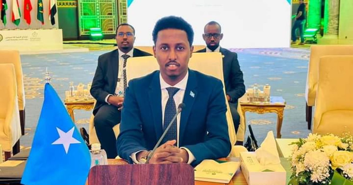 Wasiirka dhallinyarada Soomaaliya oo khudbad ka jeediyay shirka Wasiirada dhallinyarada ee Jaamacadda Carabta