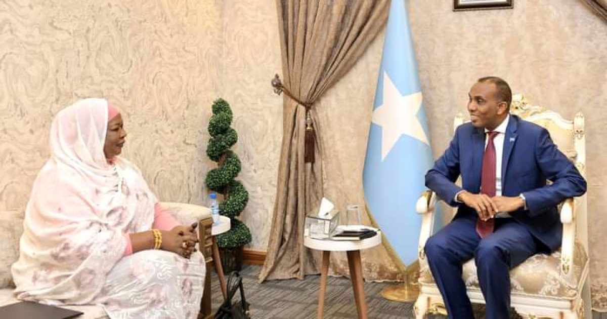 Ra’iisul Wasaare Xamse oo qaabilay Wasiirka Maalgashiga iyo Iskaashiga Caalamiga Suudaan