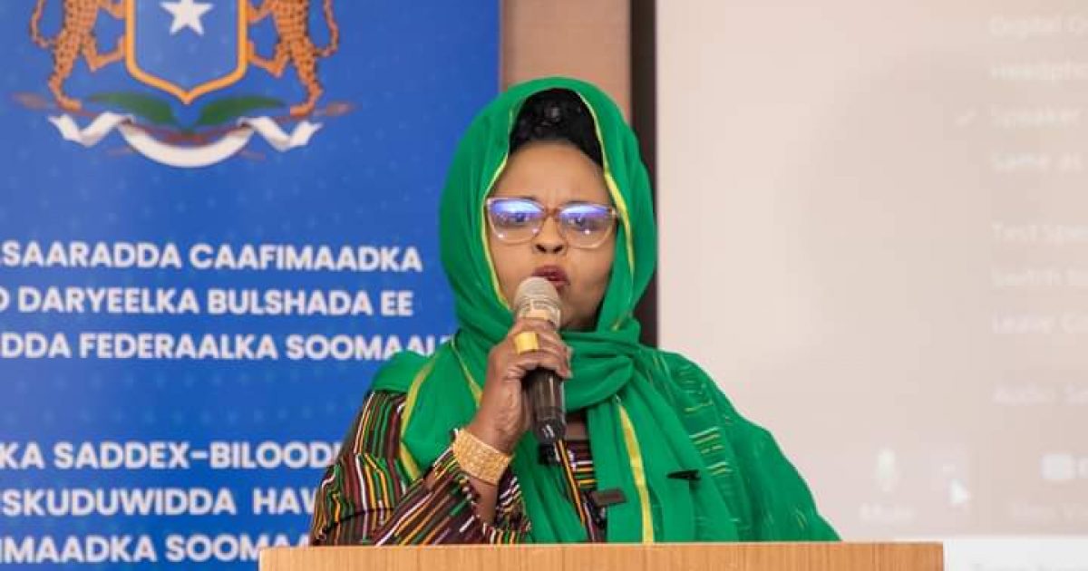 Shirweynaha Shaqaalaha Caafimaadka Qaranka oo ahmiyad gaar ah u leh gabdhaha xirfadlayaasha Caafimaadka