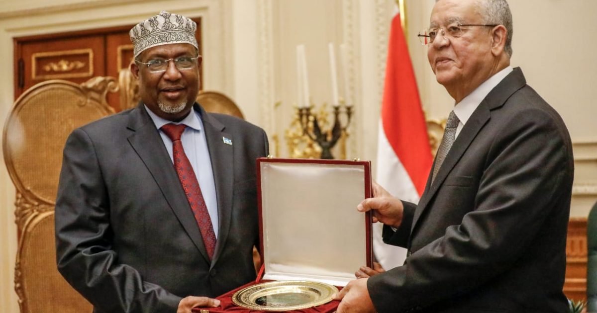 Guddoomiyaha Golaha Shacabka BJFS oo kulan mira dhal ah la qaatay Dhiggiisa Dalka Masar “SAWIRRO”