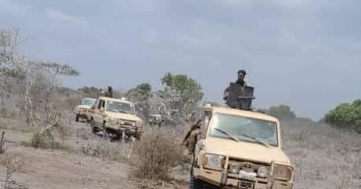 Ciidamada Xoogga oo 7 dhagar-qabe ku dilay deegaan hoostaga Gobolka Jubbada Hoose