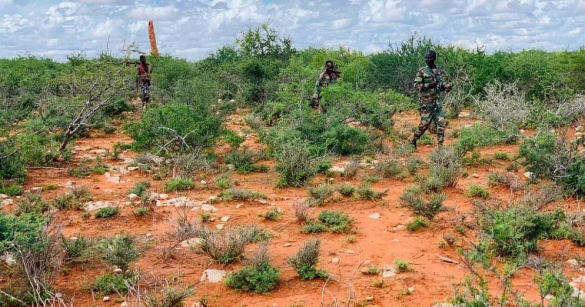 Ciidamada Xoogga dalka oo hawlgallo ka sameeyay Tuulooyin hoos yimaado Budbud