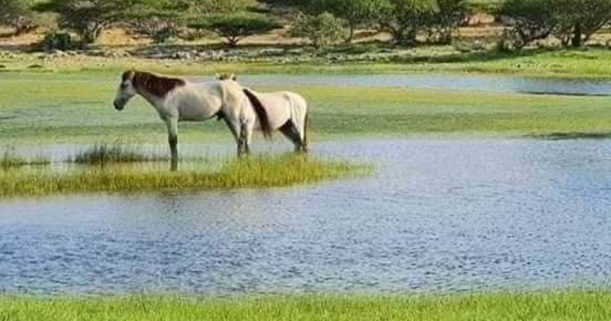 Daawo sawrirada deegaanka dalxiiska ku wacan ee Budbud oo si buuxda ay Ciidamada XDS ula wareegeen