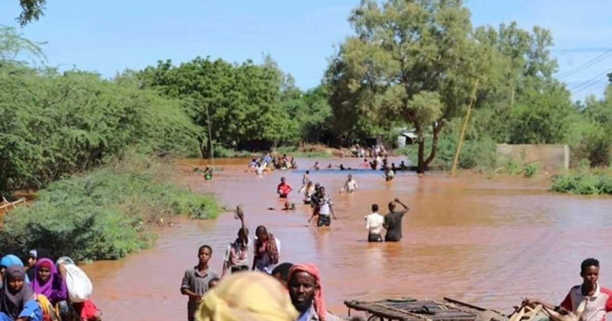 Bardhere: The Struggle to Recover from Drought and Floods