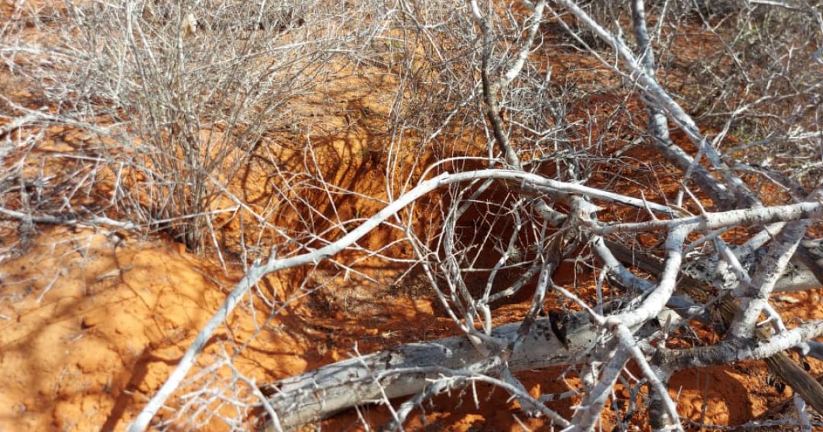 howlgal lagu soo afjaray khawaarij ku dhuumanaysay Bariga Galguduud