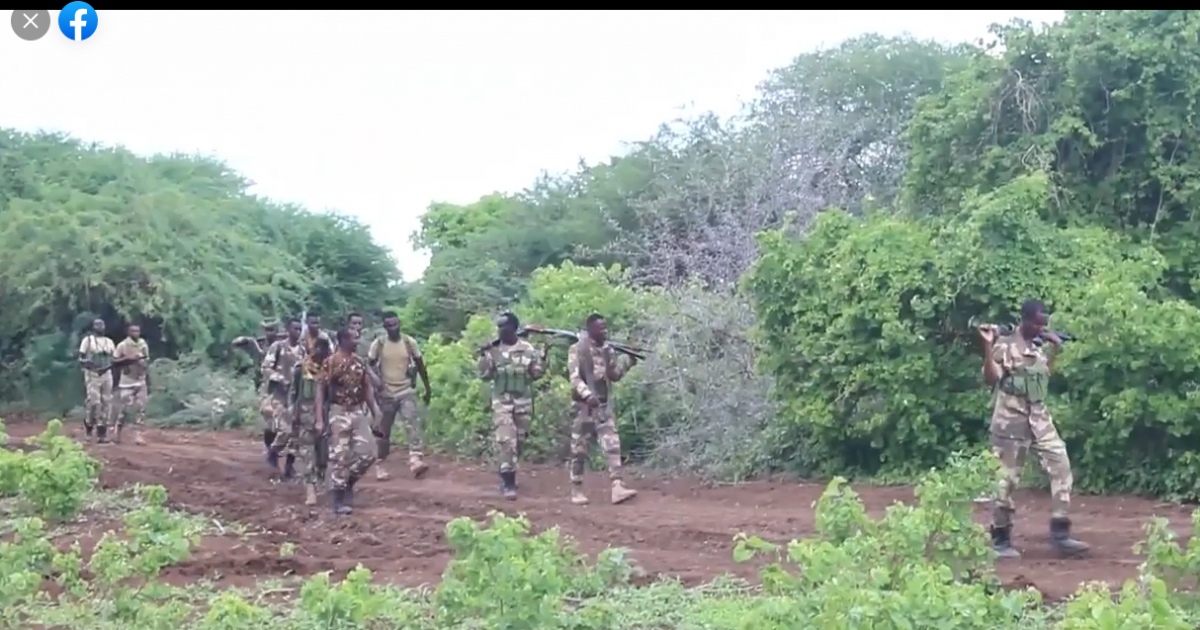 Ciidanka Xoogga Dalka oo howlgallo ka sameeyay qeybo kamid ah gobalka Sh/hoose