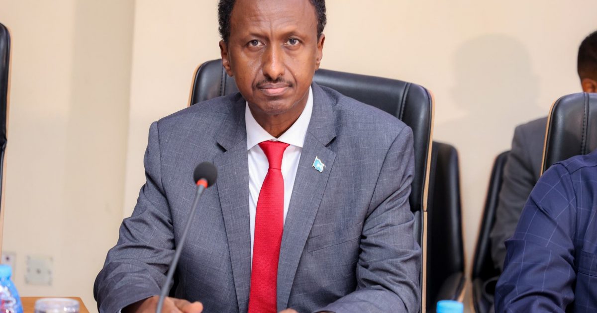 Wafdi uu hoggaaminayo Wasiirka Amniga Gudaha oo gaaray dalka Serbia