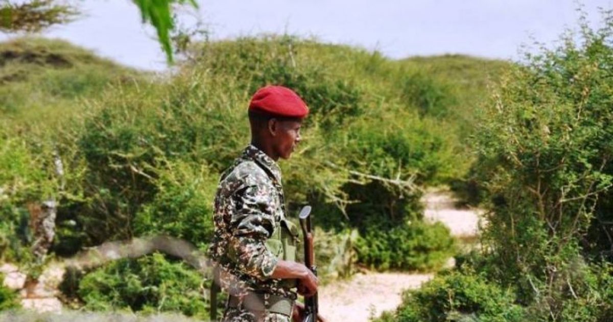 Ciidanka Xoogga oo howlgal qorsheeysan ka fuliyay gobolka Sh/hoose