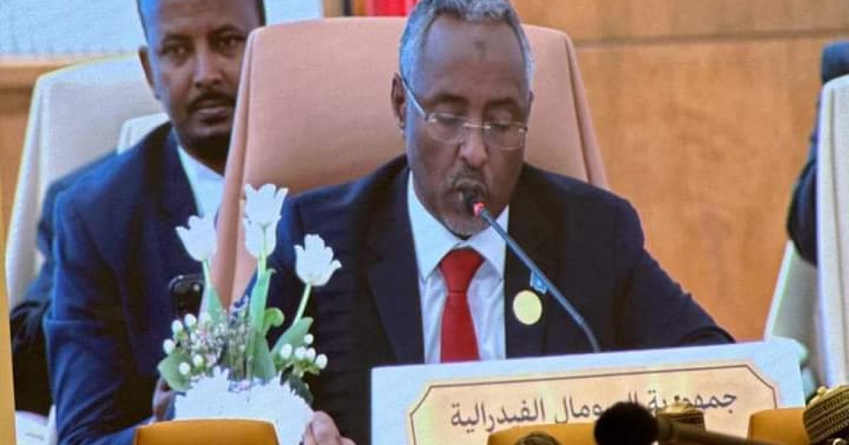 Somalia Foreign Minister Partipates in Global Coalition Forum in Riyadh