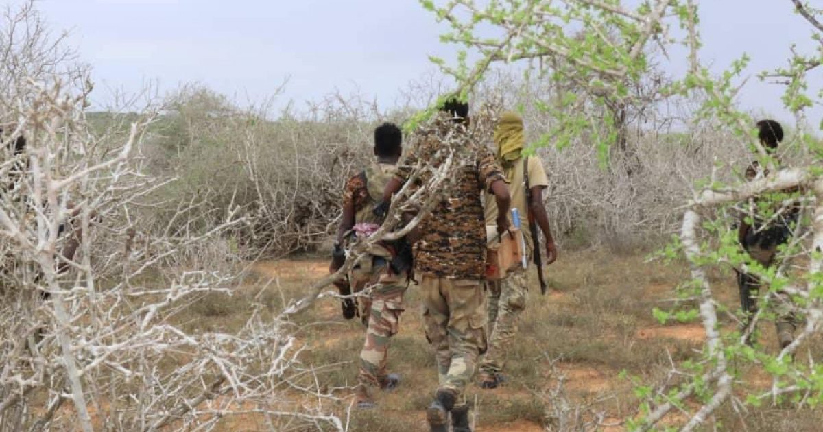 Ciidamada Qaranka Oo Horjooge Ka Mid Ah Khawaarijta Ku Qaarijiyay Galgaduud Radio Muqdisho